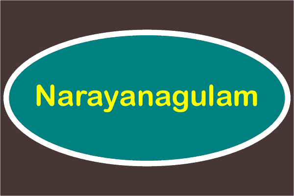 Narayanagulam