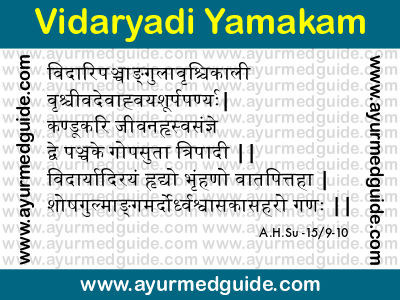 Vidaryadi Yamakam