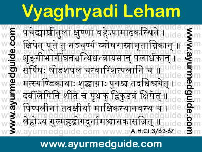 Vyaghryadi Leham